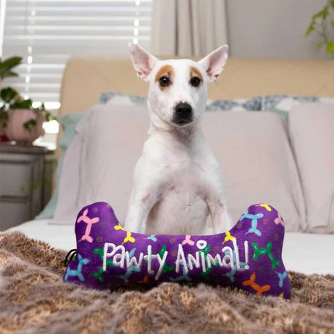 PAWTY TIME