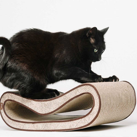 JUST FOR CATS